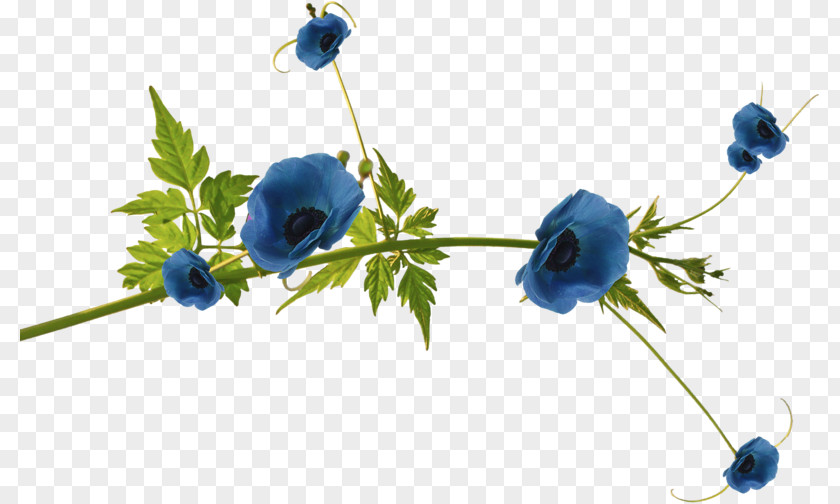 Flower Blue Clip Art Floral Design PNG