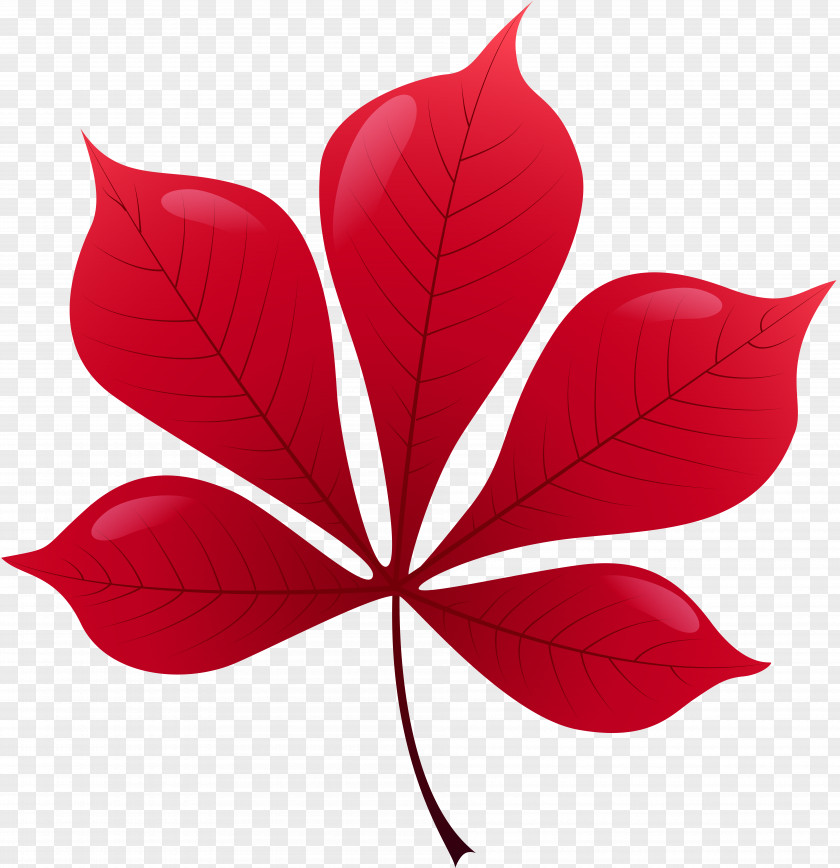 Leaf Autumn Color Clip Art PNG