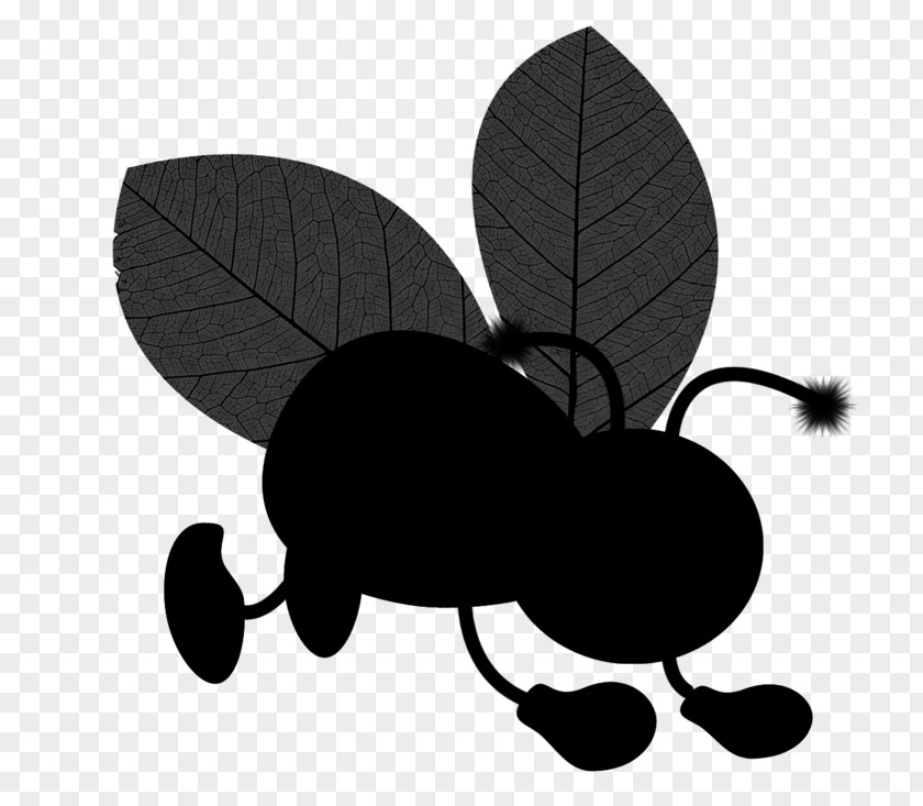 M Insect Clip Art Silhouette Black & White PNG