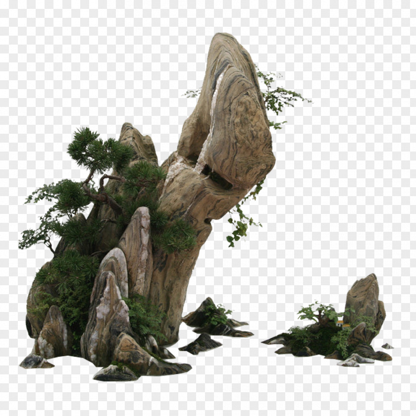 Stone 庭石 Rock Garden PNG