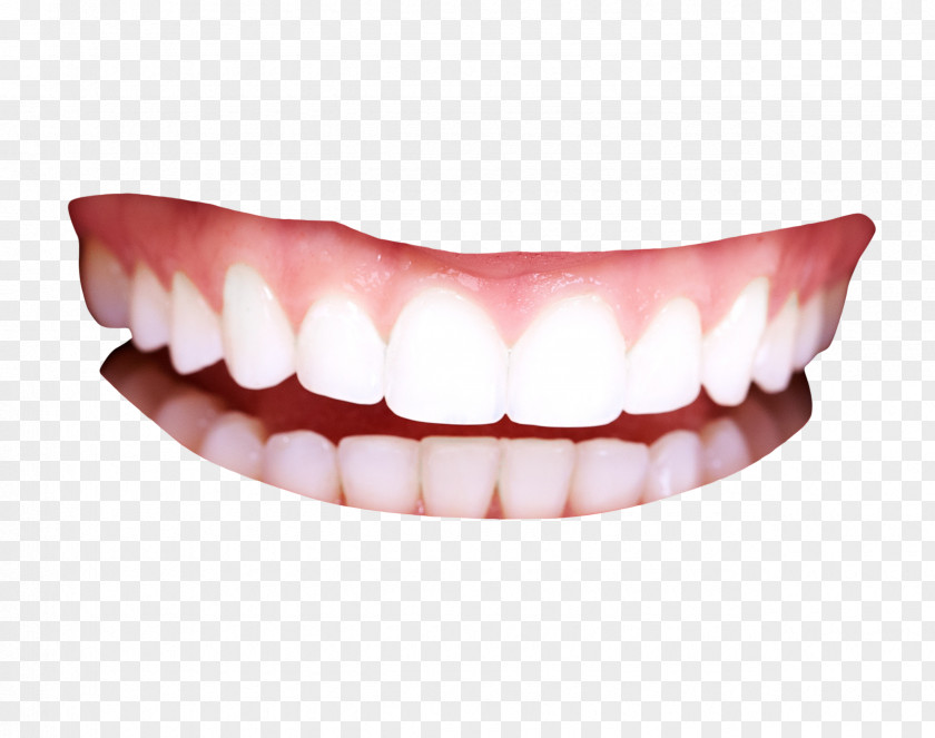 Teeth Human Tooth PNG