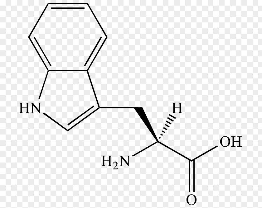 Amino Acid Phenylalanine Amine Organic Chemistry PNG