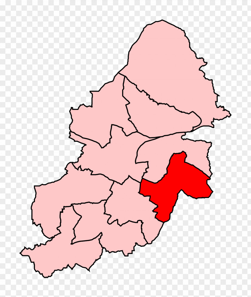 Birmingham Selly Oak Ladywood Electoral District PNG
