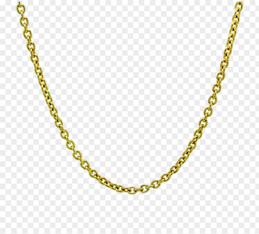 Necklace Earring Jewellery Chain Charms & Pendants PNG