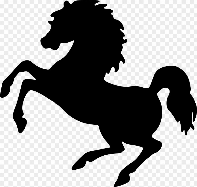 Unicorn Face Horse Stallion Rearing Clip Art PNG
