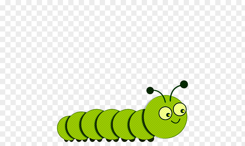 Caterpillar Insect Green Larva Moths And Butterflies PNG
