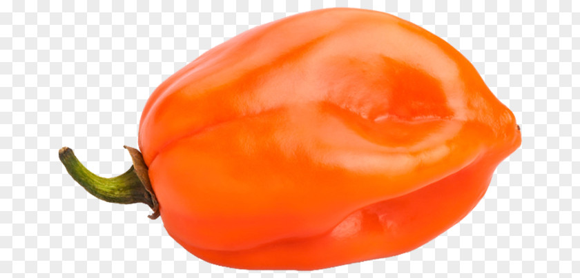 Habanero Chili Scoville Pepper Bell Stock Photography Capsicum PNG
