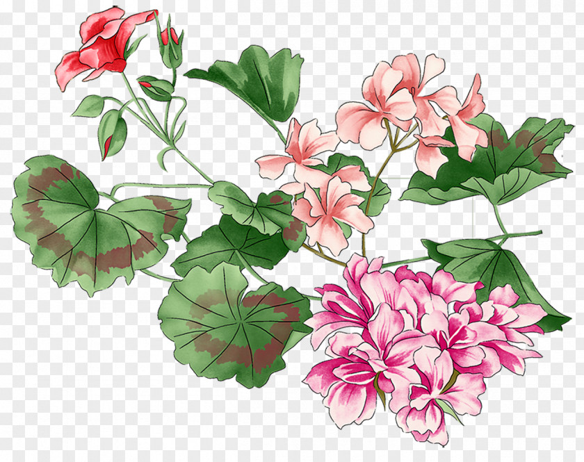 Handpainted Flowers Flower Plant PNG