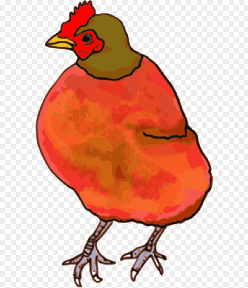 Hen Chicken The Little Red Coloring Book Clip Art PNG