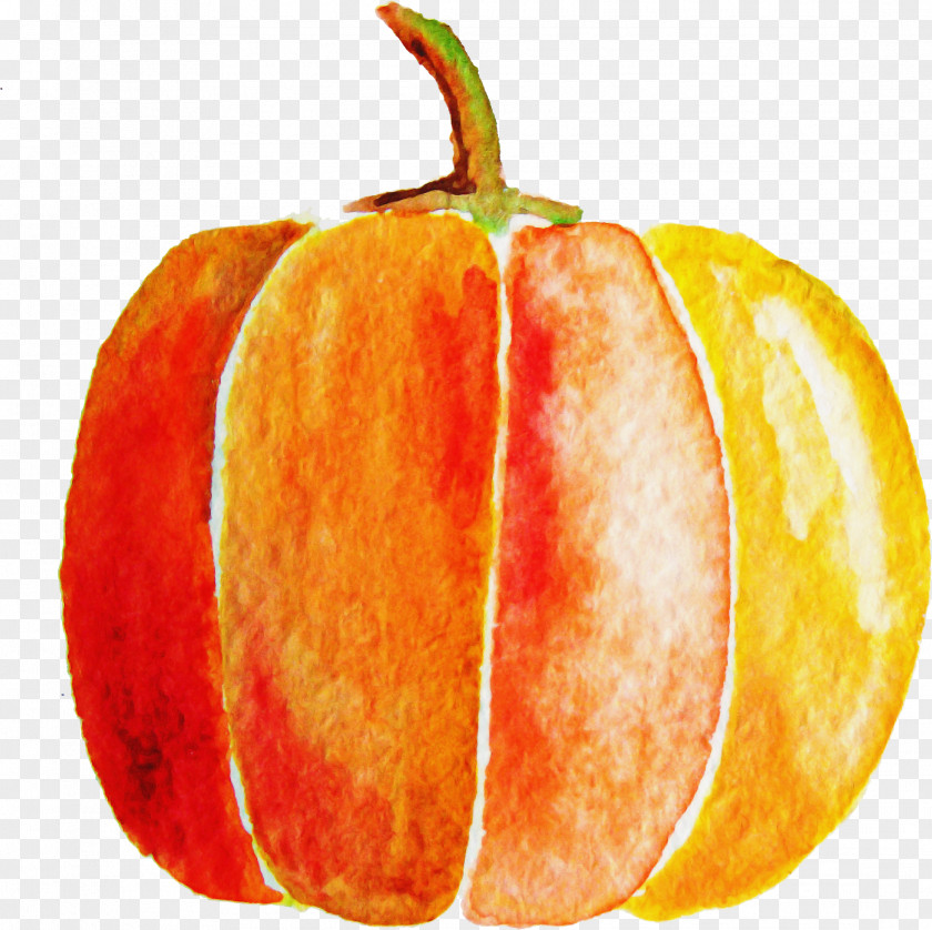 Local Food Vegetable Orange PNG