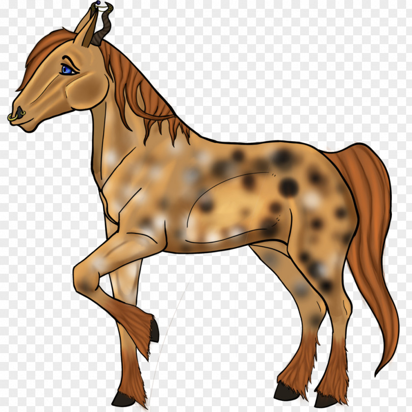 Mustang Mule Foal Mane Stallion PNG