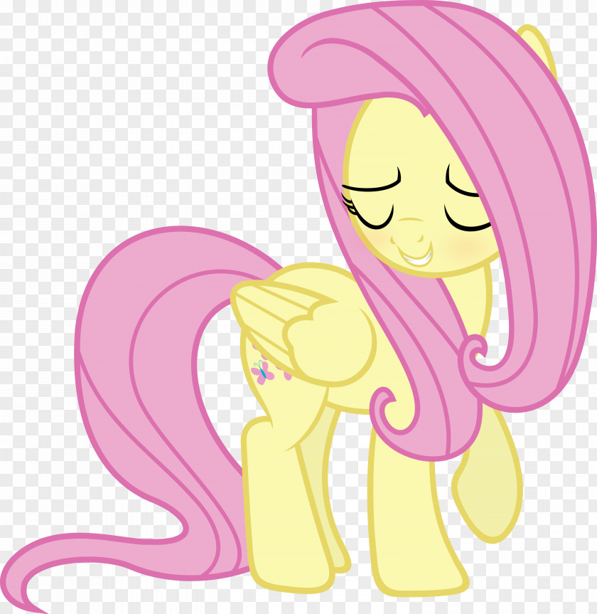 Season 5 Fluttershy Rainbow Dash Derpy HoovesMy Little Pony My Pony: Friendship Is Magic PNG