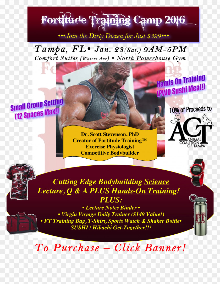 Training Flyer Poster Banner Muscle Font PNG