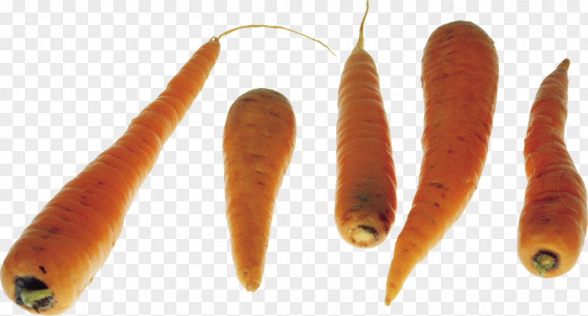 Carrot Image Computer File Clip Art PNG
