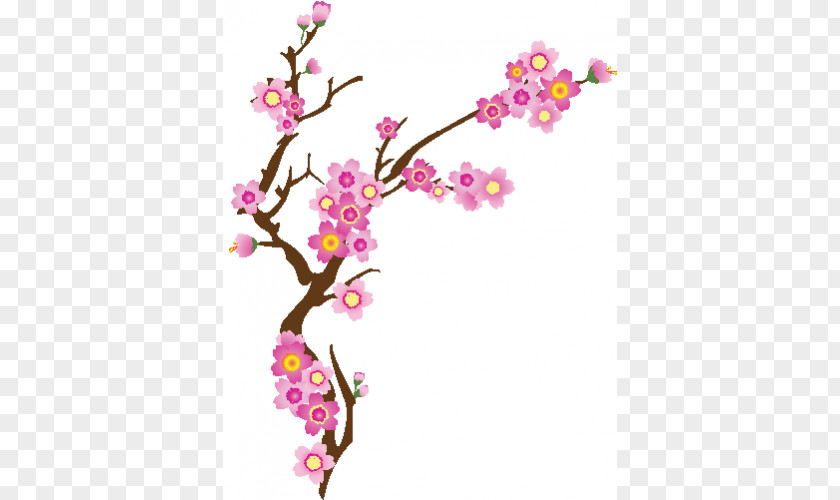 Cherry Blossom National Festival Flower PNG