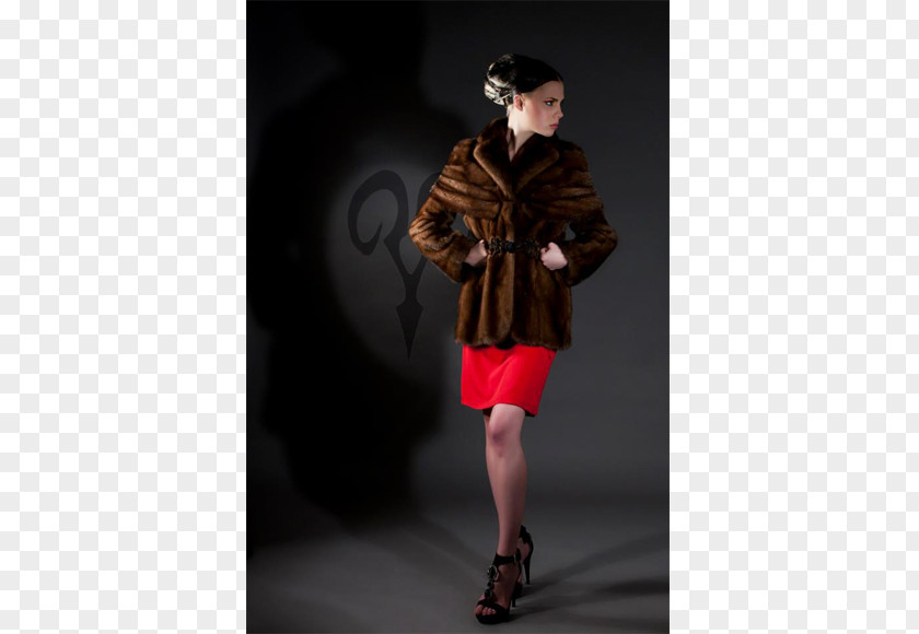 Jacket Fur Clothing Mink Giubbotto PNG