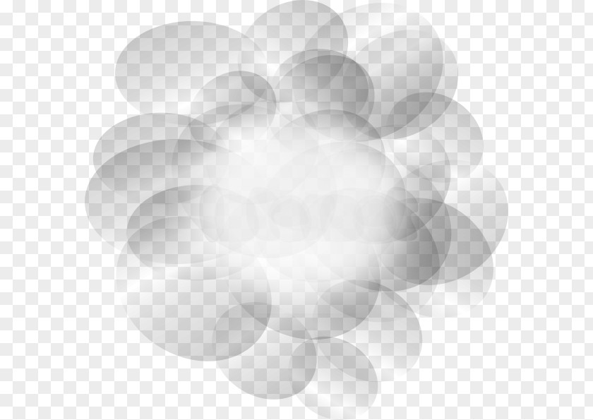 Stea Cliparts White Circle Pattern PNG
