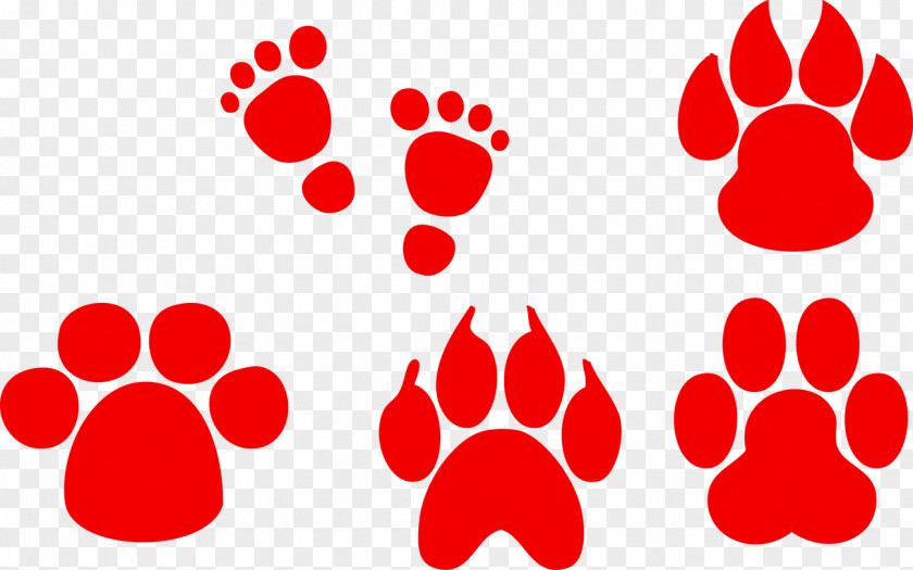 Animal Footprints Footprint Track PNG