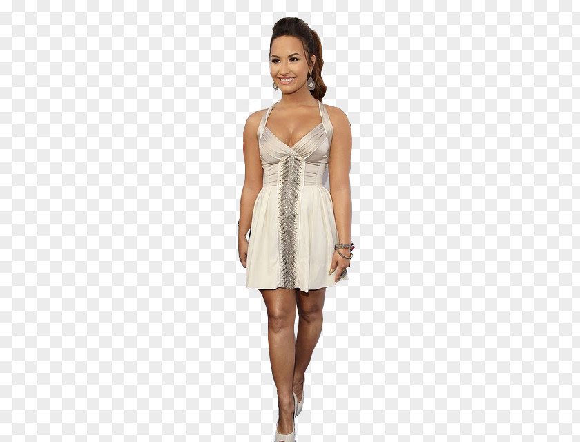 Fashion Runway Demi Lovato Cocktail Dress Chiffon PNG
