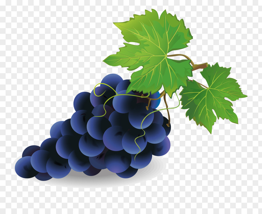 Grape Pie Common Vine Wine Clip Art PNG