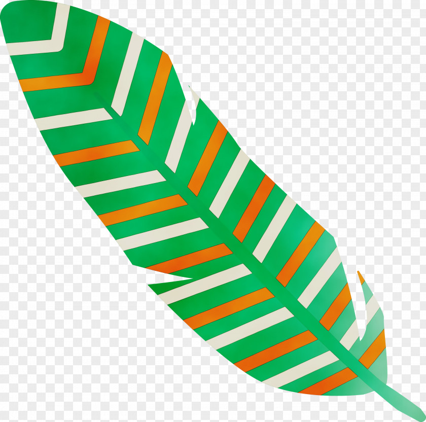 Leaf Shoe Green Line Biology PNG