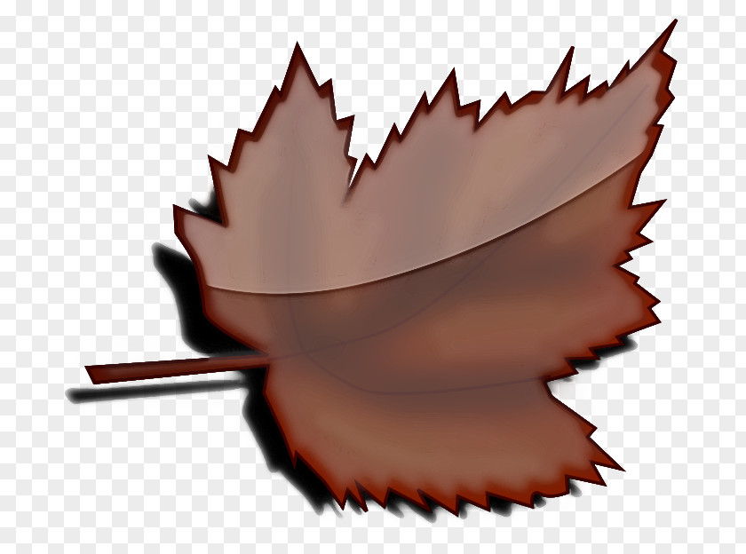 Maple Leaf Animation PNG