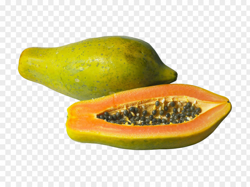 Papaya Photography Light PNG