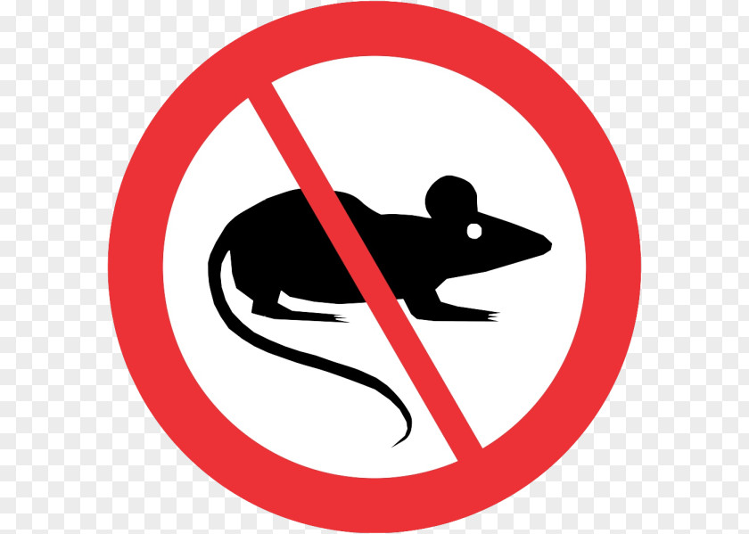 Rat No Rats Mouse Captains Draft 4.0 Rodent PNG