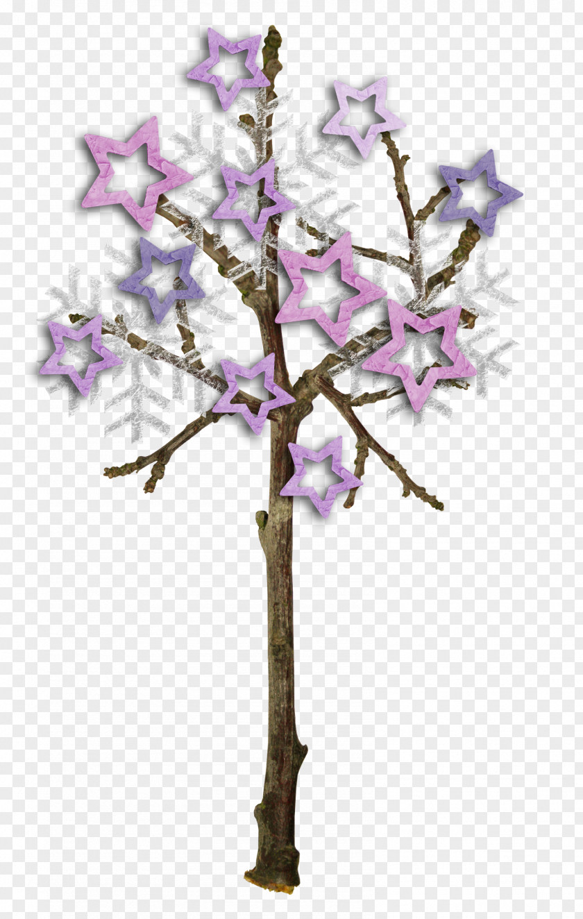 Tree Twig PNG