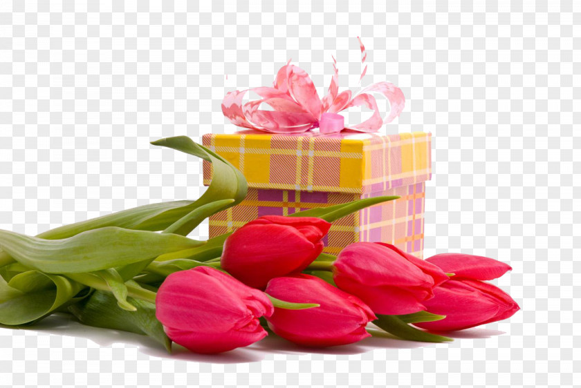 Tulips And Gift Box Flower Bouquet Birthday Birth PNG