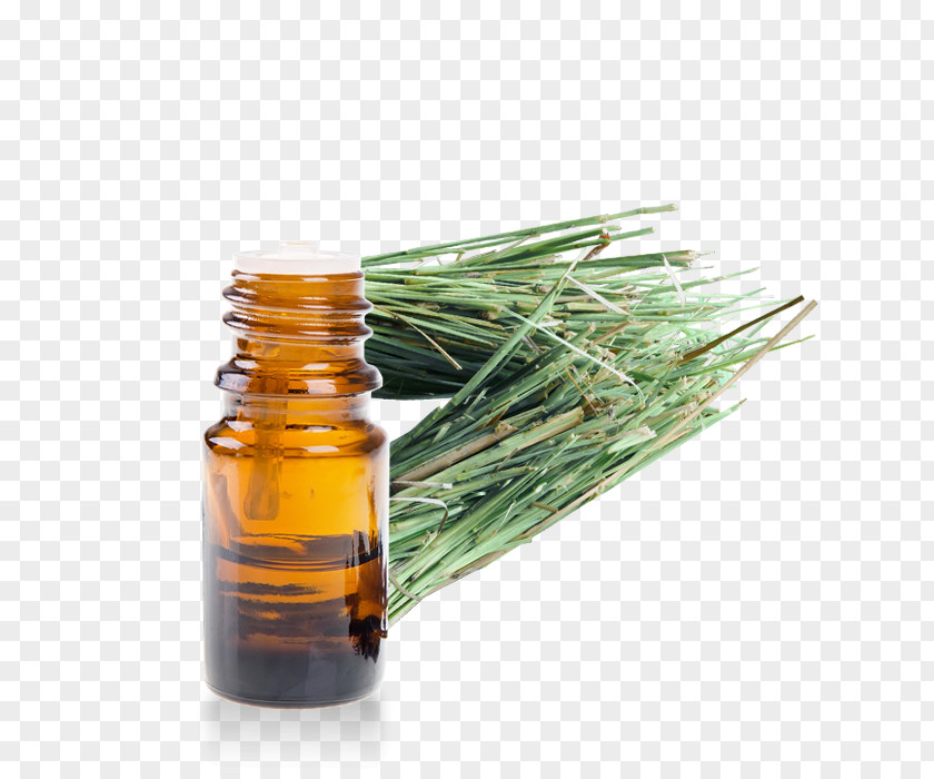 Vetiver Grass English Lavender Essential Oil Eucalyptus Huile Essentielle De Menthe PNG