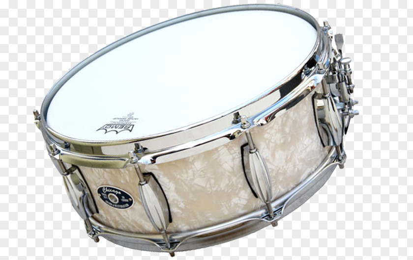 Drum Snare Drums Bass Drumhead PNG