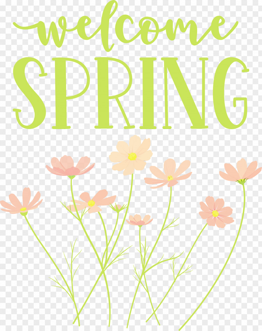 Floral Design PNG