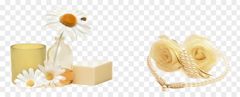 Cheese Flowers Download PNG