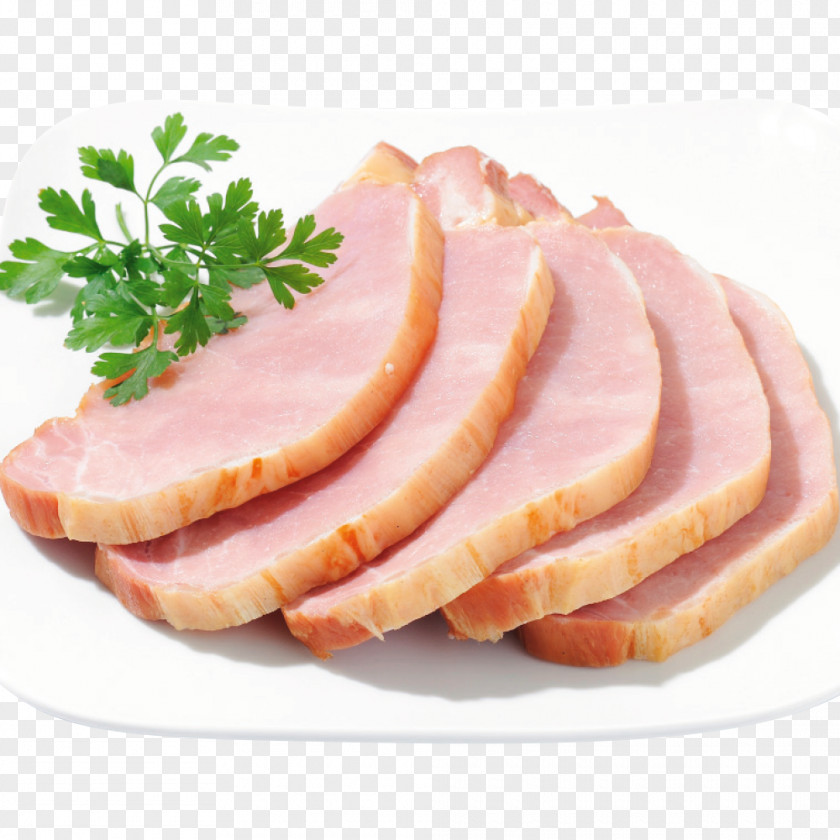 Ham Bayonne Back Bacon Galantine Meat PNG