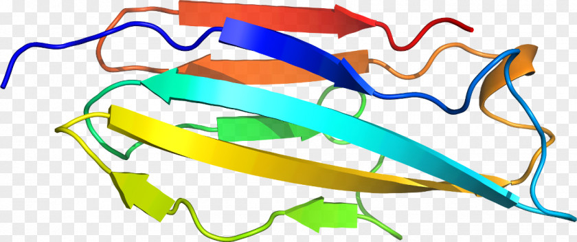 Line Clip Art PNG