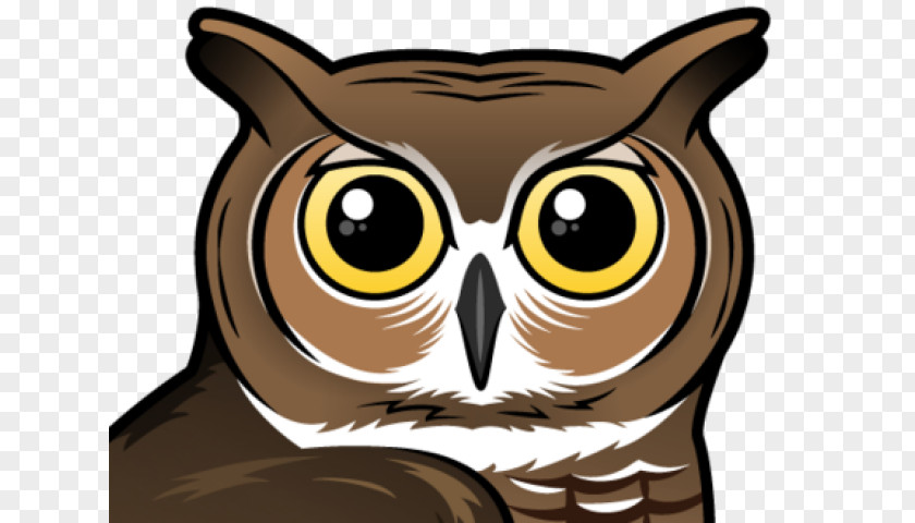 Owl Bird Of Prey Eastern Screech Cartoon PNG