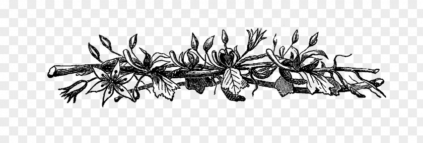 Rustic Flowers Garlic Bread Black And White Clip Art PNG