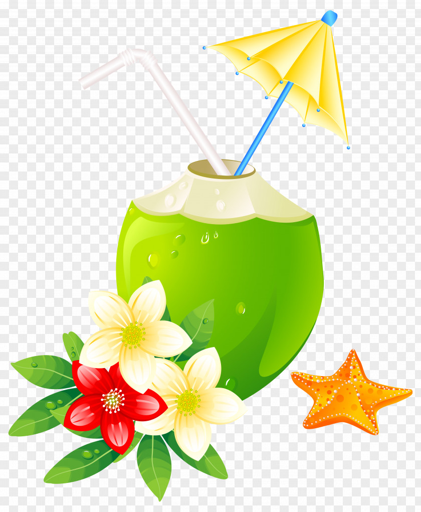 Summer Exotic Coctail Clipart Image Clip Art PNG