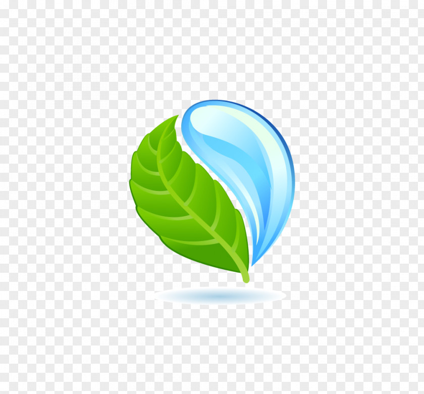 Water Droplets Green Leaf Drop PNG