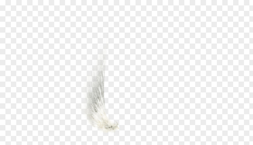 White Wings Black Angle Pattern PNG