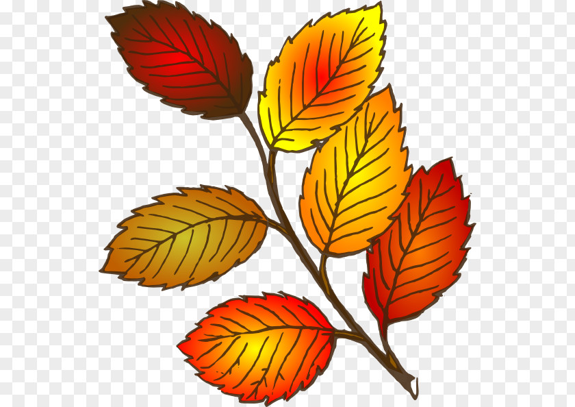 Autumn Cliparts Leaf Color Clip Art PNG