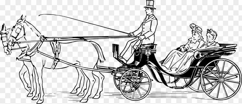 Carriage Horse Victoria Clip Art PNG