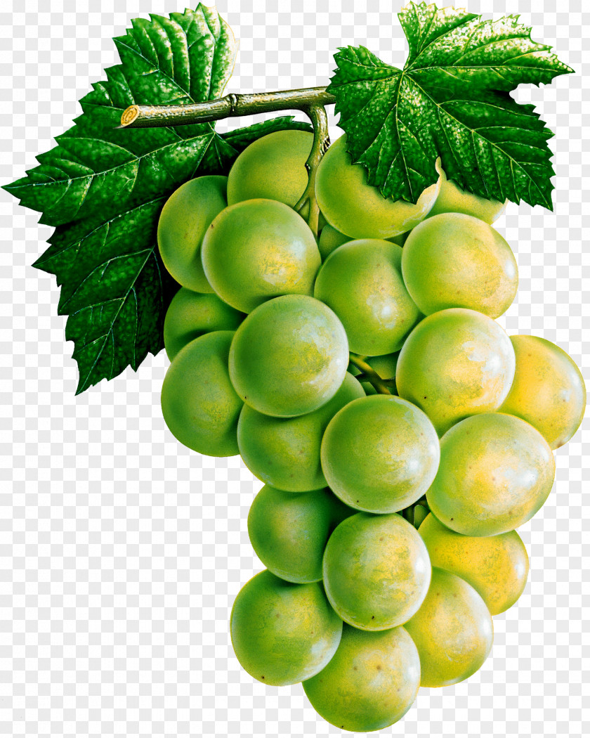 Grape Image White Wine Common Vine Juice PNG