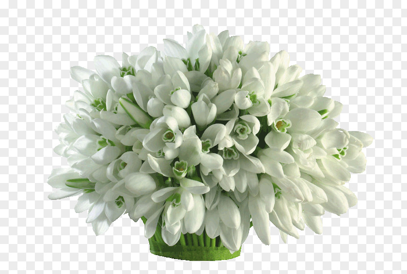 Narcissus Flower Bouquet Desktop Wallpaper Image Photograph PNG