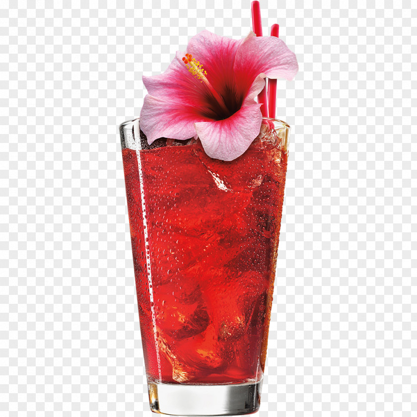 Passion Fruit Juice Sorbet Cocktail Garnish Woo Sea Breeze PNG