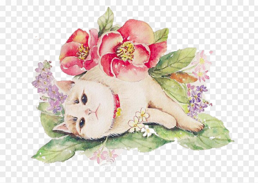 Spoiled Cat Picture Material Floral Design PNG