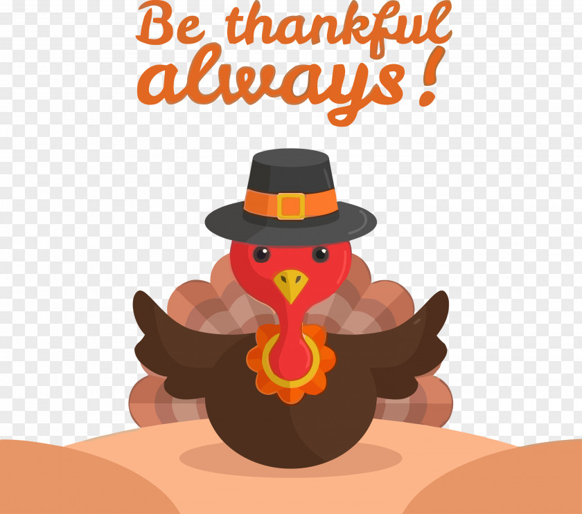 Bird Witch Hat Thanksgiving Turkey PNG
