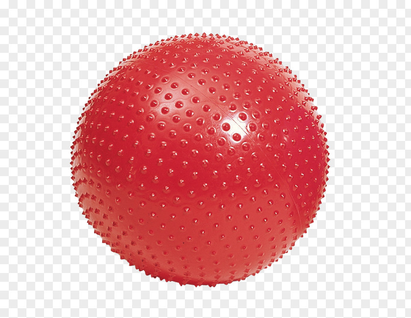 Exercise Balls Physical Fitness Centre PNG