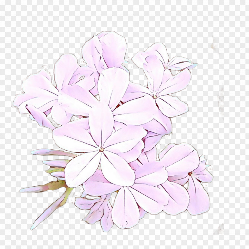 Geranium Cut Flowers Lilac Petal Flower Pink Plant PNG